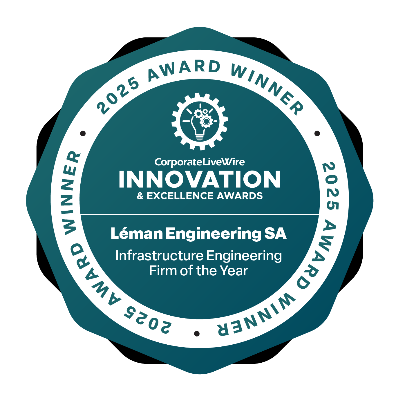 Innovation & Excellence Awards 2025 : Awards winner - Infrastructure ...
